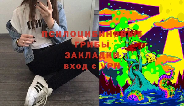 PSILOCYBIN Козловка